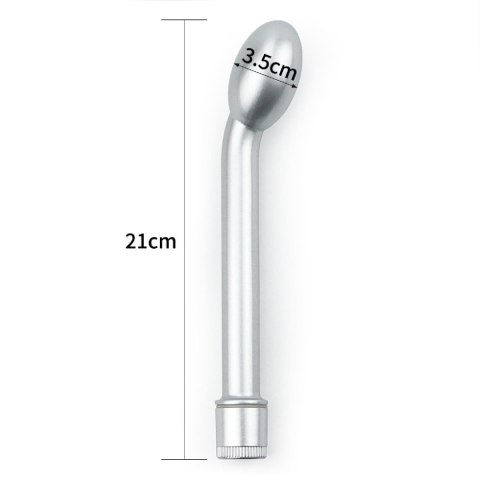 8'' iWhizz Probe 8'' iWhizz Probe