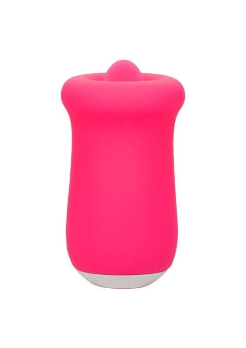 Sugar Craze Pink Sugar Craze Pink