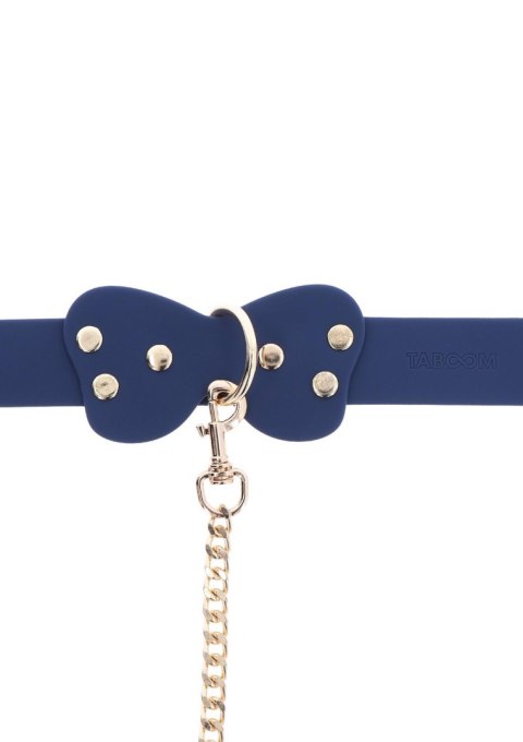 Silicone Collar and Leash Blue Silicone Collar and Leash Blue