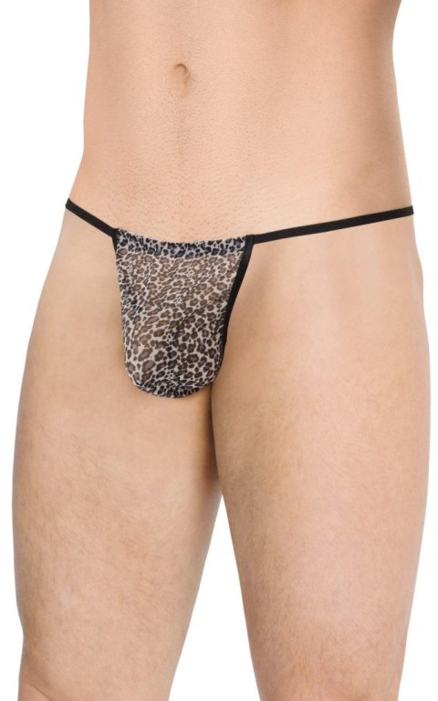 Softline - Stringi - Mens Thong 4531 - grey panther OneSize