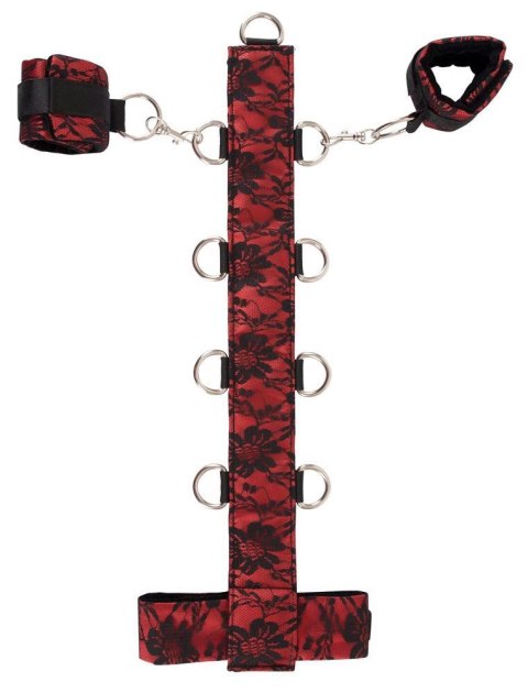 Bad Kitty Collar Bad Kitty Collar