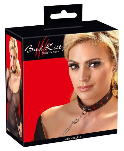Collar and Leash Collar and Leash
