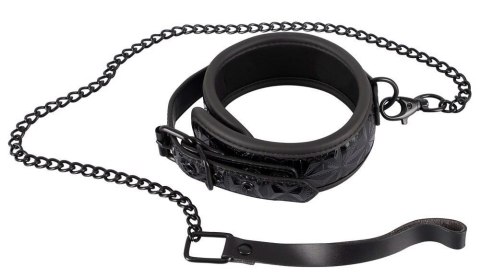 Collar with Leash Collar with Leash