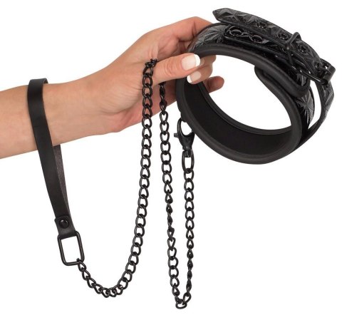 Collar with Leash Collar with Leash