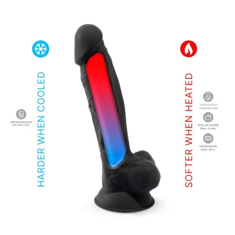 Dildo - Black Model 1 (9")