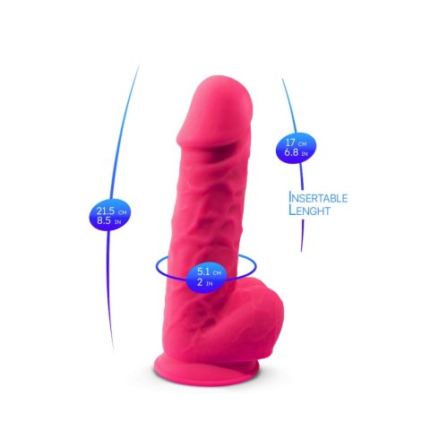 Dildo-SD.Model 4 ( 8,5"" ) Pink BOX Dildo-SD.Model 4 ( 8,5"" ) Pink BOX