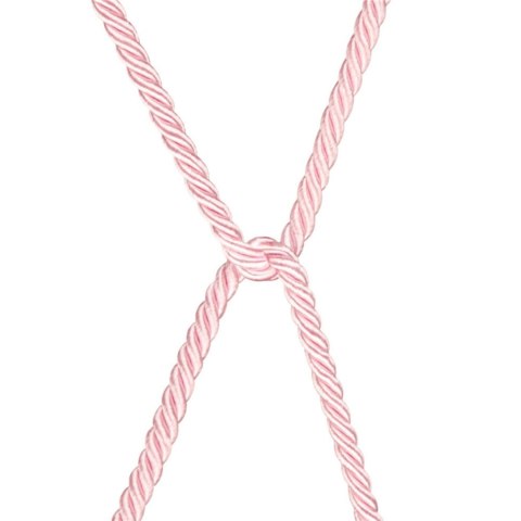 Lina - Rebellion Reign Rose Silky Bondage Rope