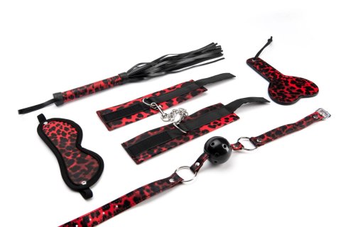 5 Pieces Leopard Bondage Set