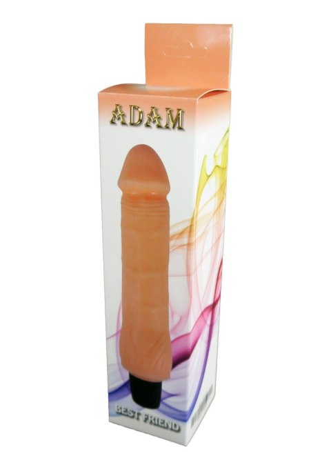 Wibrator-ADAM, 7 FUNCTION Wibrator-ADAM, 7 FUNCTION
