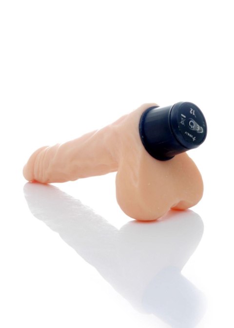 Wibrator-CYCLONE-12function vibrator Wibrator-CYCLONE-12function vibrator