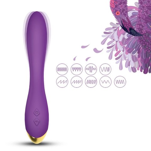 Flamingo purple Flamingo purple