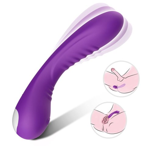 Legend purple Legend purple