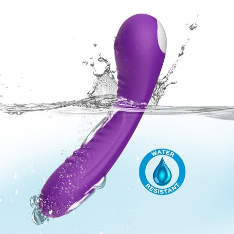 Legend purple Legend purple