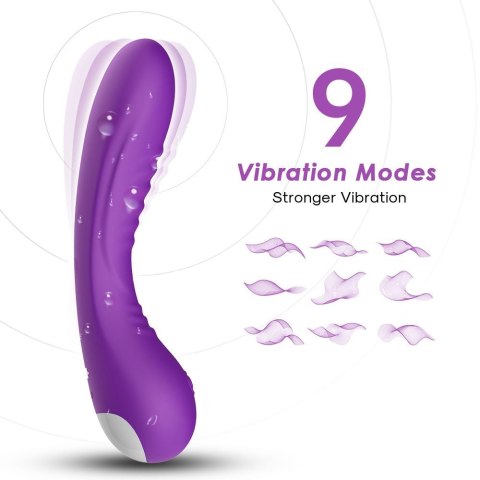 Legend purple Legend purple