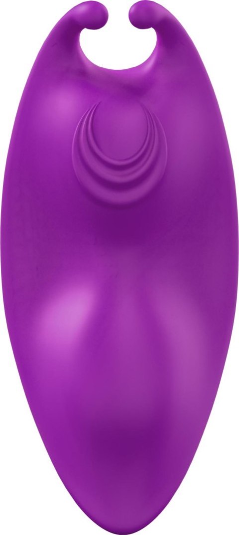Catcher purple Catcher purple