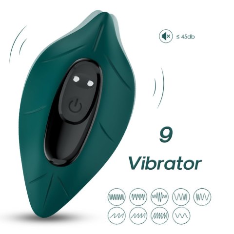 Leavess Green, 9 vibration functions Leavess Green, 9 vibration functions