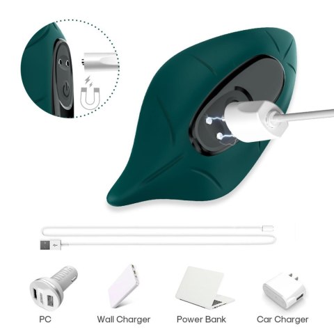 Leavess Green, 9 vibration functions Leavess Green, 9 vibration functions