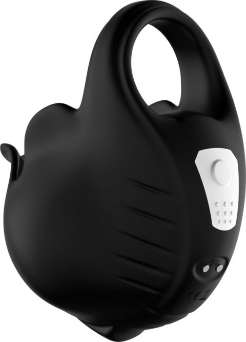 Ranger black (with remote) Ranger black (with remote)