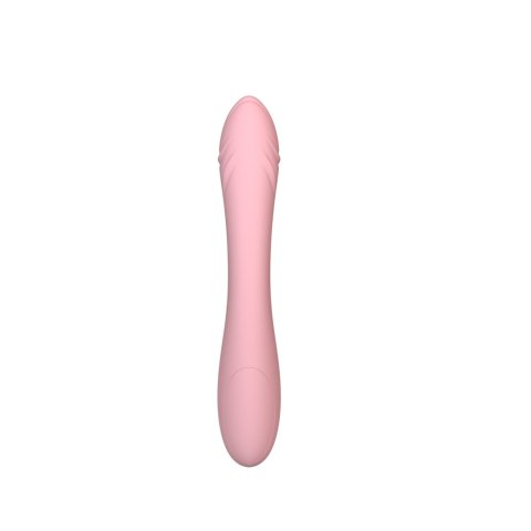 VIBRATOR PINK VIBRATOR PINK