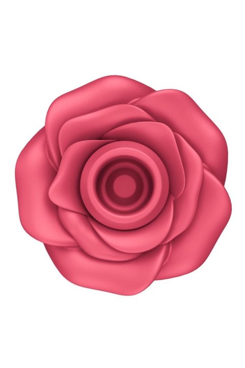 Pro 2 Classic Rose Pro 2 Classic Rose