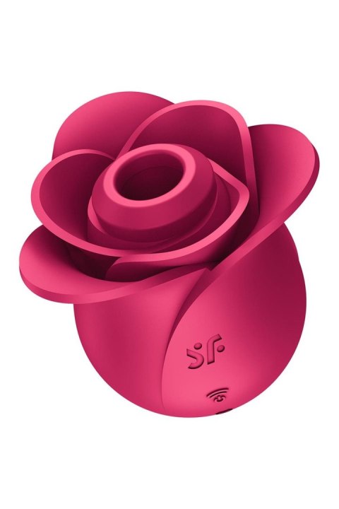 Pro 2 Modern Rose Pro 2 Modern Rose