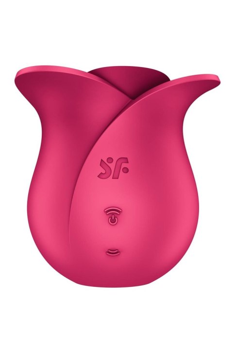 Pro 2 Modern Rose Pro 2 Modern Rose
