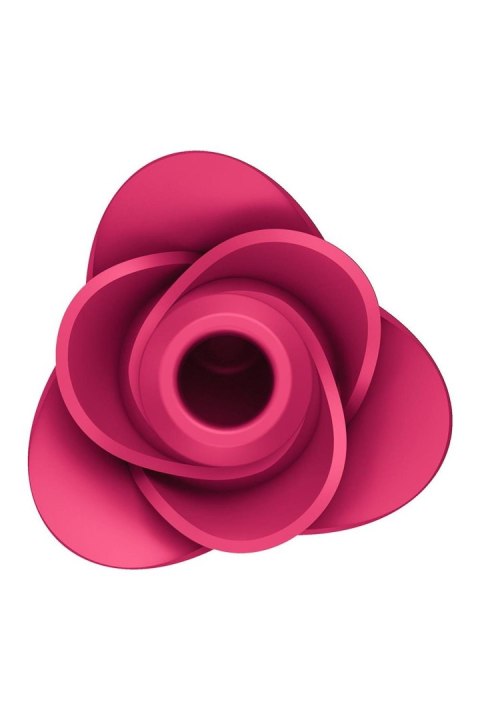 Pro 2 Modern Rose Pro 2 Modern Rose