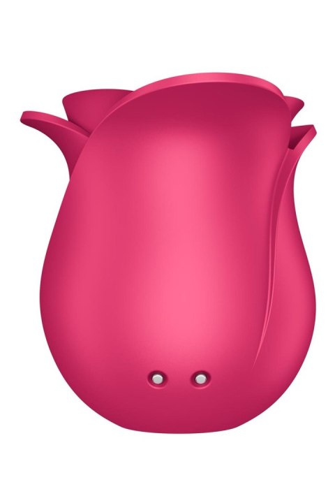 Pro 2 Modern Rose Pro 2 Modern Rose
