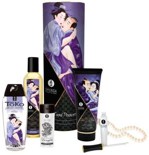 Carnal Pleasures Kit Carnal Pleasures Kit