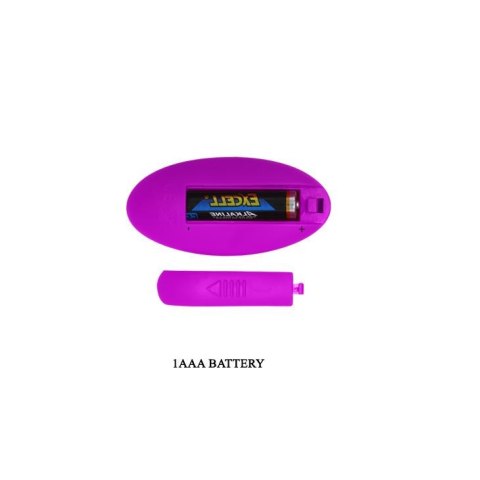 PRETTY LOVE - WILLIE USB remote control 12 function PRETTY LOVE - WILLIE USB remote control 12 function