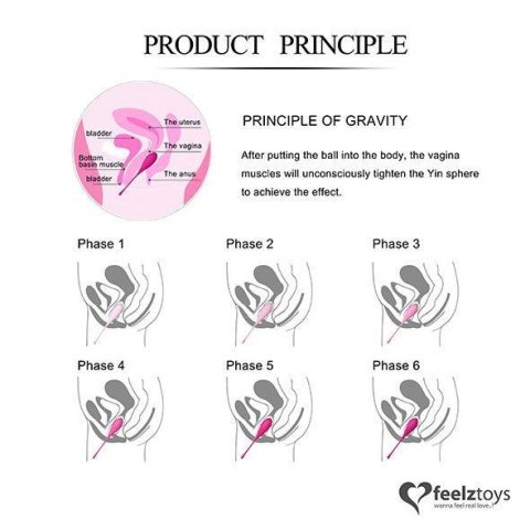 FeelzToys - FemmeFit Pelvic Muscle Training Set 6 pcs FeelzToys - FemmeFit Pelvic Muscle Training Set 6 pcs