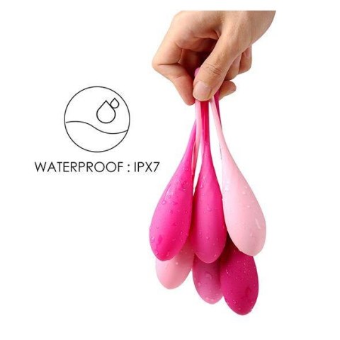 FeelzToys - FemmeFit Pelvic Muscle Training Set 6 pcs FeelzToys - FemmeFit Pelvic Muscle Training Set 6 pcs