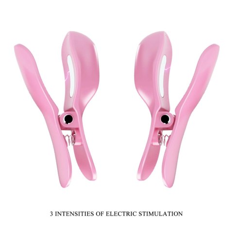 PRETTY LOVE - Surprise Box Pink, 12 vibration functions 3 electric shock functions PRETTY LOVE - Surprise Box Pink, 12 vibration functions 3 electric shock functions