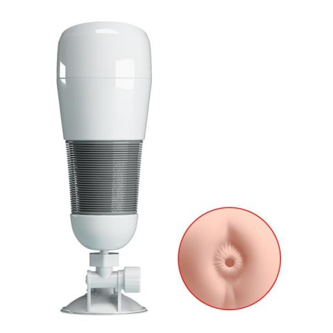 PRETTY LOVE -HEDY, Suction base PRETTY LOVE -HEDY, Suction base
