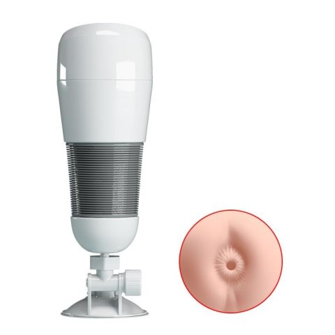 PRETTY LOVE -Hedy, Vibration Suction base PRETTY LOVE -Hedy, Vibration Suction base