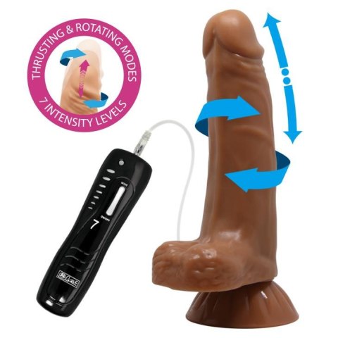 BAILE - Easton , 7 rotation functions Suction base 7 thrusting settings BAILE - Easton , 7 rotation functions Suction base 7 thrusting settings