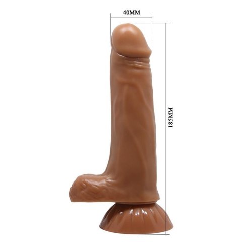 BAILE - Easton , 7 rotation functions Suction base 7 thrusting settings BAILE - Easton , 7 rotation functions Suction base 7 thrusting settings