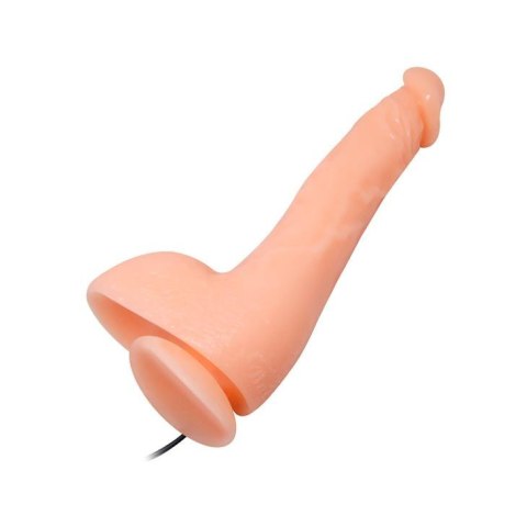 BAILE- JASSON 9.8''Multi Speed of Vibration BAILE- JASSON 9.8''Multi Speed of Vibration