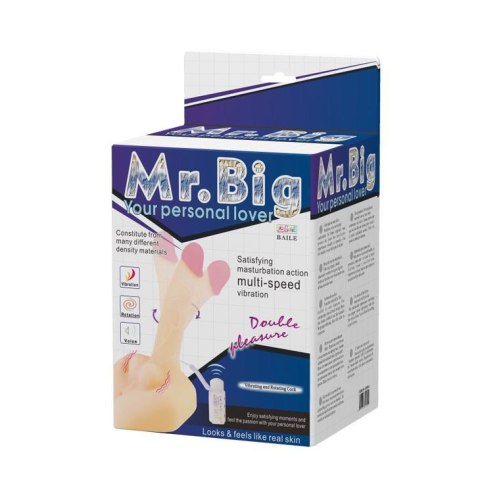 BAILE - Mr. BIG Rotation & Vibration BAILE - Mr. BIG Rotation & Vibration