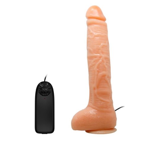 BAILE - Penis Vibration BAILE - Penis Vibration