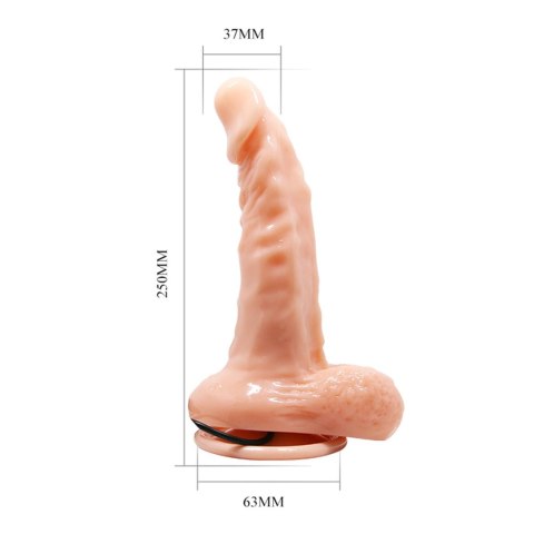 BAILE- REALISTIC MALE COCK AND TIGHT ASS, Vibration Suction base BAILE- REALISTIC MALE COCK AND TIGHT ASS, Vibration Suction base