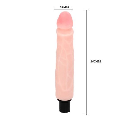 BAILE - The Realistic Coock Vibrating BAILE - The Realistic Coock Vibrating