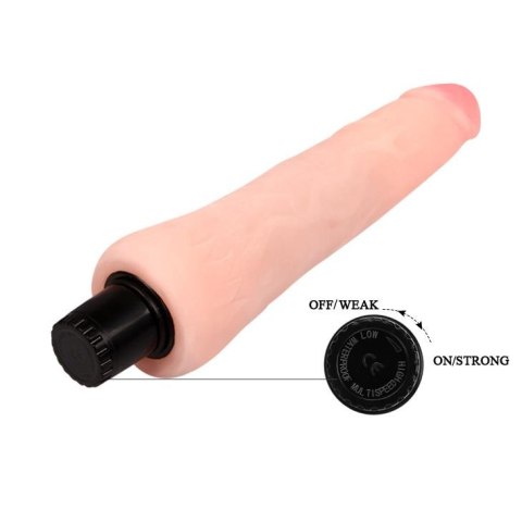 BAILE - The Realistic Coock Vibrating BAILE - The Realistic Coock Vibrating