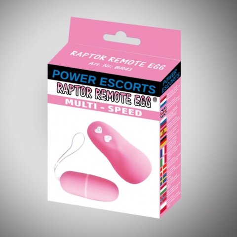 Raptor remote egg pink remote egg Raptor remote egg pink remote egg
