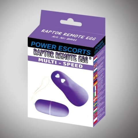 Raptor remote egg purple remote egg Raptor remote egg purple remote egg
