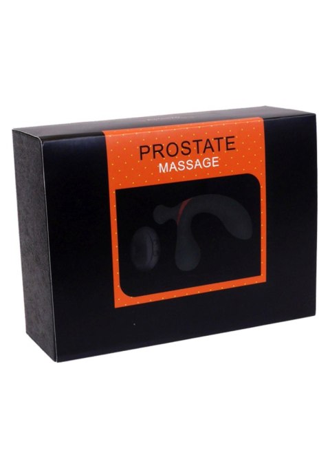 Stymulator-Prostate Massager Dual Vibrator USB 10 Function / Remote Control Stymulator-Prostate Massager Dual Vibrator USB 10 Function / Remote Control