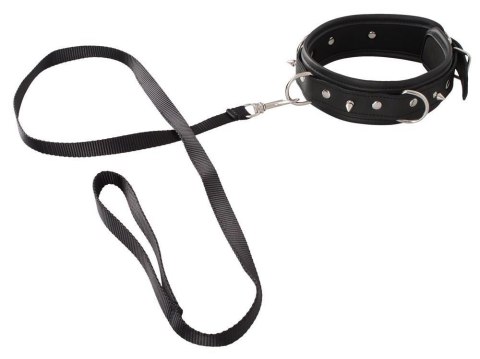 Collar vegan Collar vegan