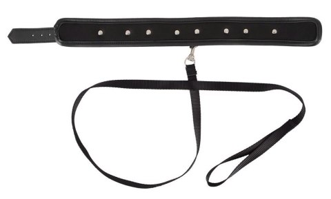 Collar vegan Collar vegan