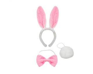 Zestaw króliczka Playboya - Bunny Roleplay Kit