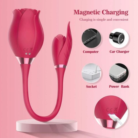 Miss Coyness USB 10 function Miss Coyness USB 10 function